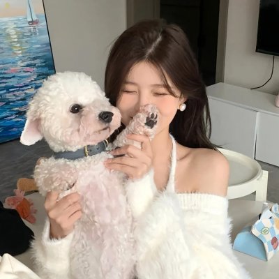 窗户上的阴影